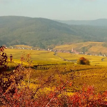 Au Coeur De L'alsace - شقة *