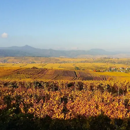 Au Coeur De L'alsace -